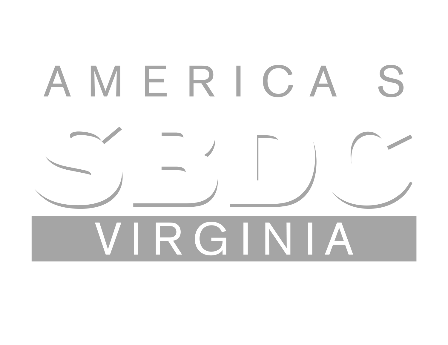 SBDC Roanoke Region Logo
