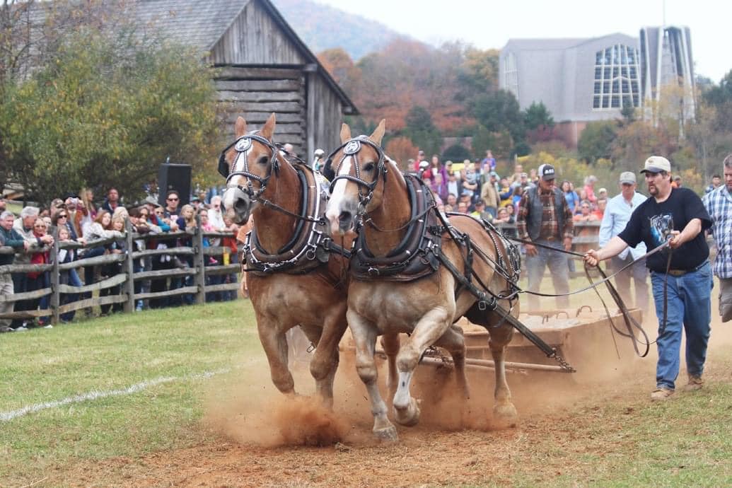 Blue Ridge Folklife Festival 50 Years of Celebrating What Makes